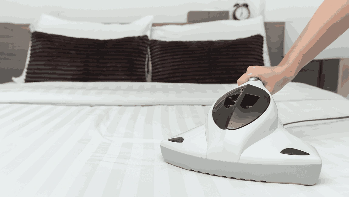 Professional Mattress Cleaning Jacana
